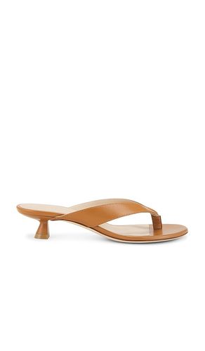 Rio Sleek 35 Sandal in Brown. - size 7.5 (also in 8, 9.5) - Stuart Weitzman - Modalova