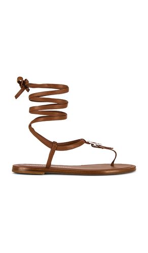 Georgie Lace-up Sandal in Brown. - size 6 (also in 6.5, 7, 7.5, 8, 8.5, 9, 9.5) - Stuart Weitzman - Modalova