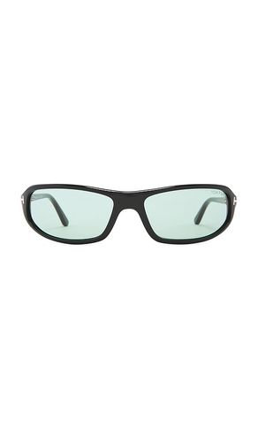 Addison Sunglasses in - TOM FORD - Modalova