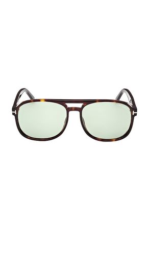 TOM FORD Rosco Sunglasses in Brown - TOM FORD - Modalova