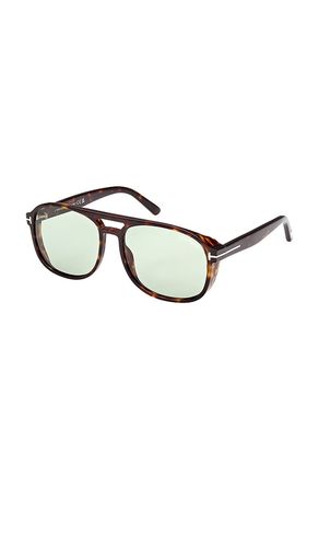 TOM FORD Rosco Sunglasses in Brown - TOM FORD - Modalova