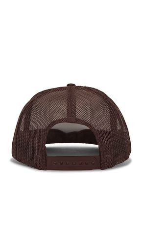 Stay Wild Hat in - Friday Feelin - Modalova