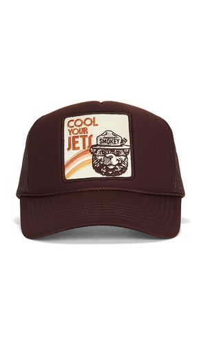 Friday Feelin HUT COOL in Brown - Friday Feelin - Modalova