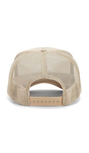 Pumpkin Spice Hat in - Friday Feelin - Modalova