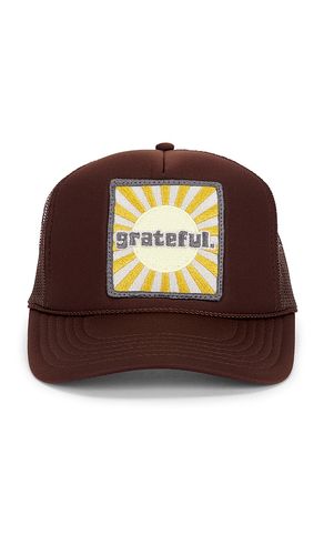 Grateful trucker hat in color size all - Friday Feelin - Modalova