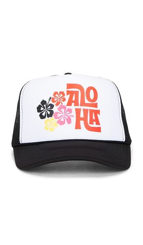 Aloha Floral Hat in - Friday Feelin - Modalova