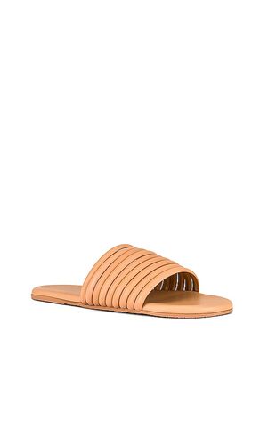 Caro Sandal in . Size 5. Also in 6 - TKEES - Modalova