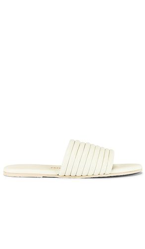 Caro Sandal in . - size 5 (also in 6) - TKEES - Modalova