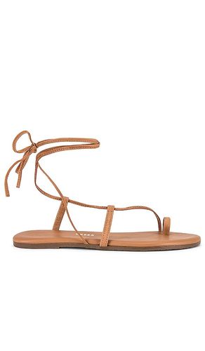 Jo Sandal in Brown. - size 10 (also in 5, 6, 7, 8, 9) - TKEES - Modalova