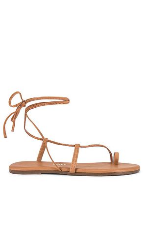 Jo Sandal in Brown. - size 10 (also in 6) - TKEES - Modalova