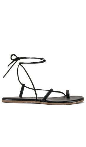 Jo Sandal in . - size 10 (also in 11, 6, 9) - TKEES - Modalova