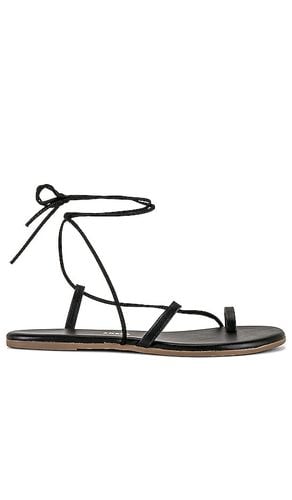 Jo Sandal in . Size 11, 6, 8, 9 - TKEES - Modalova