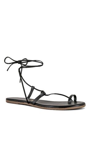 Jo Sandal in . Size 10. Also in 11, 5, 6, 7, 8, 9 - TKEES - Modalova