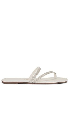 Infinity Sarit Sandal in . Taglia 6, 8, 9 - TKEES - Modalova