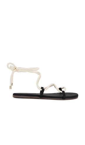 Petra Sandal in . - size 10 (also in 6, 7, 8, 9) - TKEES - Modalova