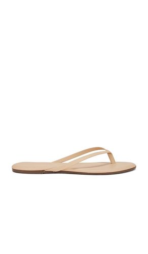 Lily Foundations Matte Flip Flop in . Size 5. Also in 6, 7, 8 - TKEES - Modalova