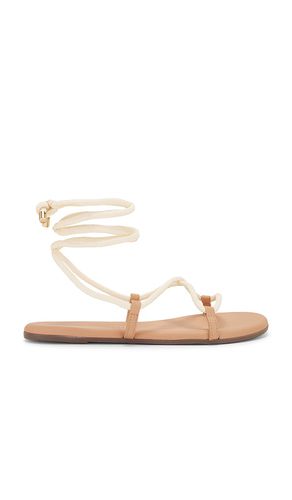 Petra Sandal in . Taglia 7, 8, 9 - TKEES - Modalova