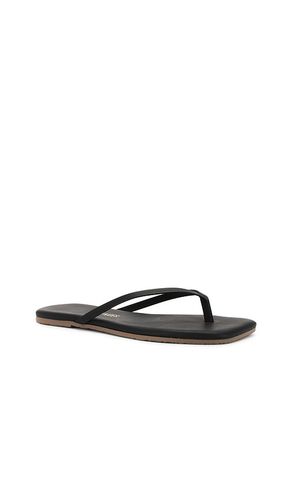 Lily Square Toe Flip Flop in . Size 11. Also in 10, 6, 7, 8, 9 - TKEES - Modalova