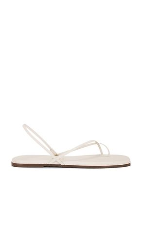 Square Toe Millie Sandal in . - size 10 (also in 11, 8, 9) - TKEES - Modalova