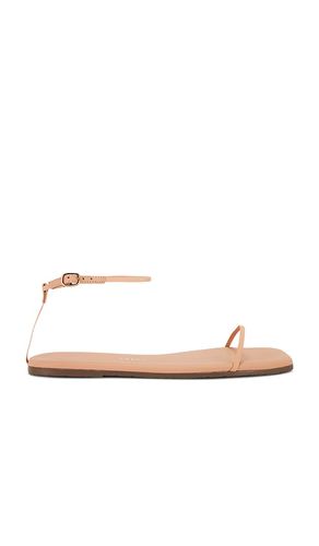 Square Toe Twiggy Sandal in Nude. - size 10 (also in 11, 5, 7, 8, 9) - TKEES - Modalova