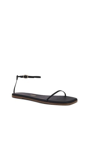 Square Toe Twiggy Sandal in . Size 7. Also in 8, 9 - TKEES - Modalova