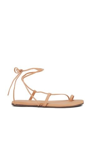 Jo Sandal in Tan. - size 10 (also in 11, 6, 7, 8, 9) - TKEES - Modalova