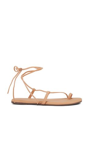 Sandalia jo en color bronce talla 10 en - Tan. Talla 10 (también en 11, 6, 7, 8, 9) - TKEES - Modalova