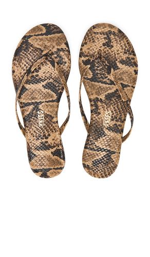 Studio Exotic Sandal in Brown. - size 10 (also in 5, 7, 8, 9) - TKEES - Modalova