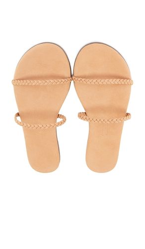 Gemma Braid Sandal in Nude. - size 6 (also in 7, 8, 9) - TKEES - Modalova
