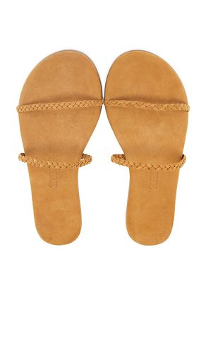 Gemma Braid Sandal in Tan. - size 7 (also in 8) - TKEES - Modalova