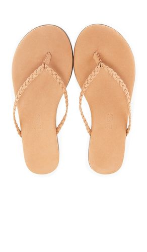 Lily Braid Sandal in Nude. - size 5 (also in 6, 8) - TKEES - Modalova