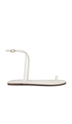 Phoebe Sandal in . - size 10 (also in 7, 8) - TKEES - Modalova