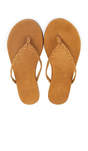 Lily Braid Sandal in Tan. - size 10 (also in 5, 6, 7, 8, 9) - TKEES - Modalova