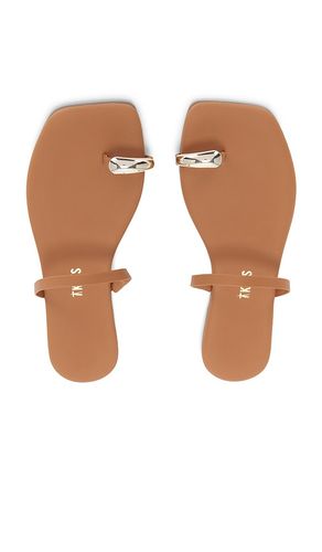 Colette Sandal in . Size 6. Also in 8, 9 - TKEES - Modalova