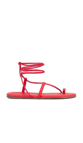 Jo Sandal in . - size 8 (also in 9) - TKEES - Modalova