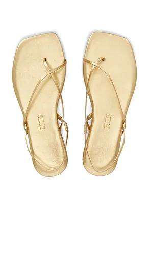 Millie Square Toe Sandal in Metallic Gold. - size 10 (also in 6, 7, 8, 9) - TKEES - Modalova