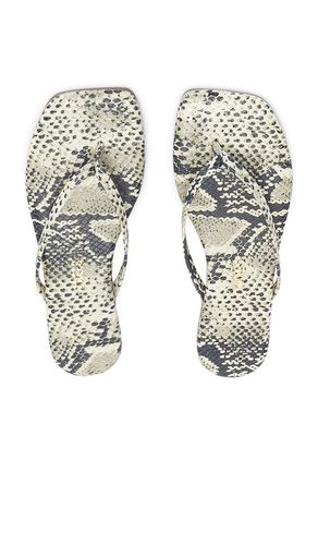 Square Toe Lily Sandal in . Size 7. Also in 8 - TKEES - Modalova