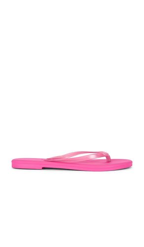 Aqua Flip Flops in . Size 6. Also in 7, 8, 9, 10, 11 - TKEES - Modalova