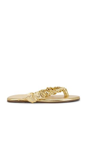 Savanna Sandal in . Size 6. Also in 7, 8, 9 - TKEES - Modalova