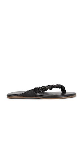 Savanna Sandal in . Size 7. Also in 8, 9 - TKEES - Modalova