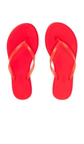 Aqua Flip Flops in . Size 5. Also in 6, 7 - TKEES - Modalova