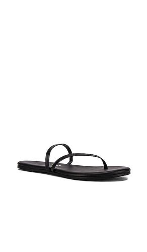 Sarit Sandal in . Size 10. Also in 11, 5, 6, 7, 8, 9 - TKEES - Modalova
