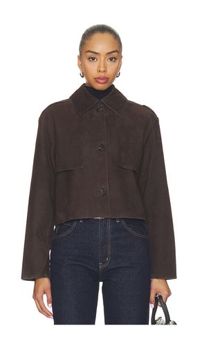 Crop Trench Jacket in Brown. - size L (also in M, S) - Theory - Modalova
