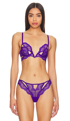 Kane V-wire Bra in Purple. - size 32A (also in 32B, 32C, 34C, 36B) - Thistle and Spire - Modalova