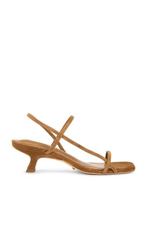 Tiffany Heel in Taupe. - size 10 (also in 5, 5.5, 6, 6.5, 7, 7.5, 8, 8.5, 9, 9.5) - Tony Bianco - Modalova