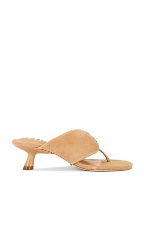 Kailey Heel in Tan. - size 10 (also in 5, 5.5, 6, 6.5, 7, 7.5, 8, 8.5, 9, 9.5) - Tony Bianco - Modalova