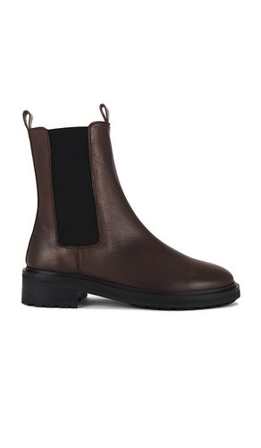 Harper Boot in Chocolate. - size 10 (also in 5, 5.5, 6, 6.5, 7, 7.5, 8, 8.5, 9, 9.5) - Tony Bianco - Modalova