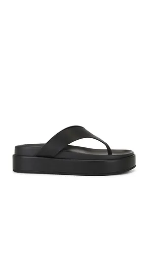 Jetta Sandal in . Size 36. Also in 37, 38, 39, 40, 41 - Tony Bianco - Modalova