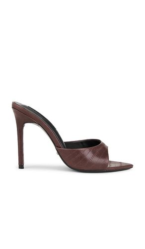 Malibu Mule in Chocolate. - size 10 (also in 5.5, 6, 6.5, 7, 7.5, 8, 8.5, 9) - Tony Bianco - Modalova