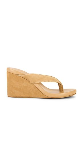Avanti Heel in . Size 5. Also in 6, 8 - Tony Bianco - Modalova